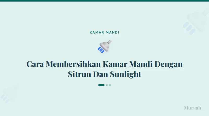 Cara Membersihkan Kamar Mandi Dengan Sitrun Dan Sunlight - referensi visual