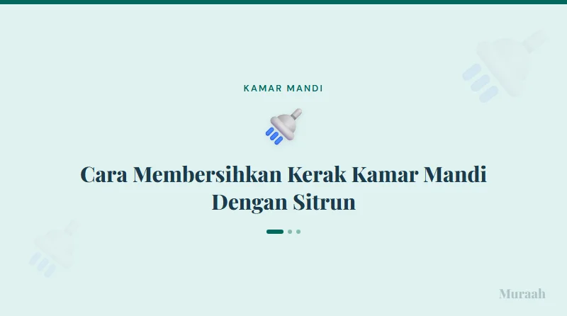 Cara Membersihkan Kerak Kamar Mandi Dengan Sitrun - referensi visual