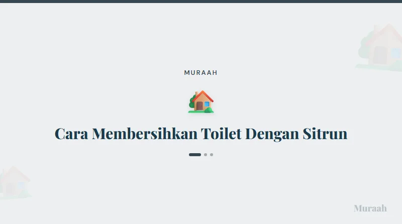 Cara Membersihkan Toilet Dengan Sitrun - referensi visual
