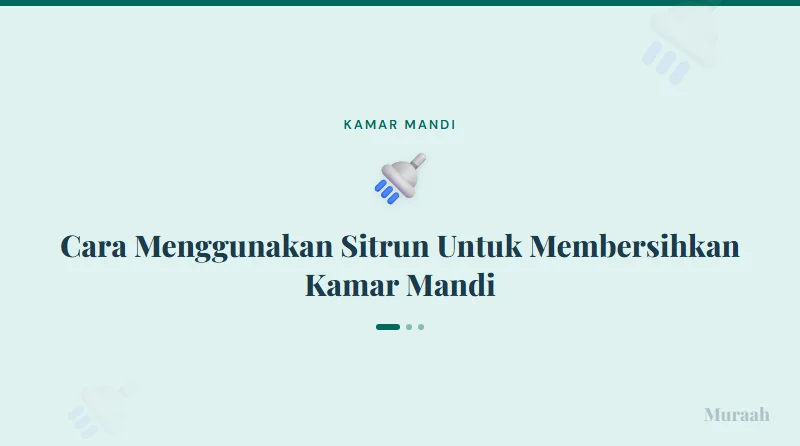 Cara Menggunakan Sitrun Untuk Membersihkan Kamar Mandi - referensi visual