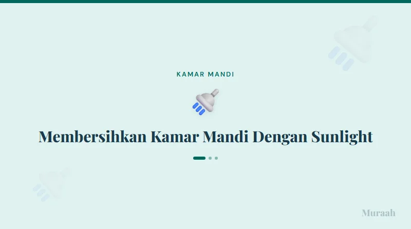 Membersihkan Kamar Mandi Dengan Sunlight - referensi visual